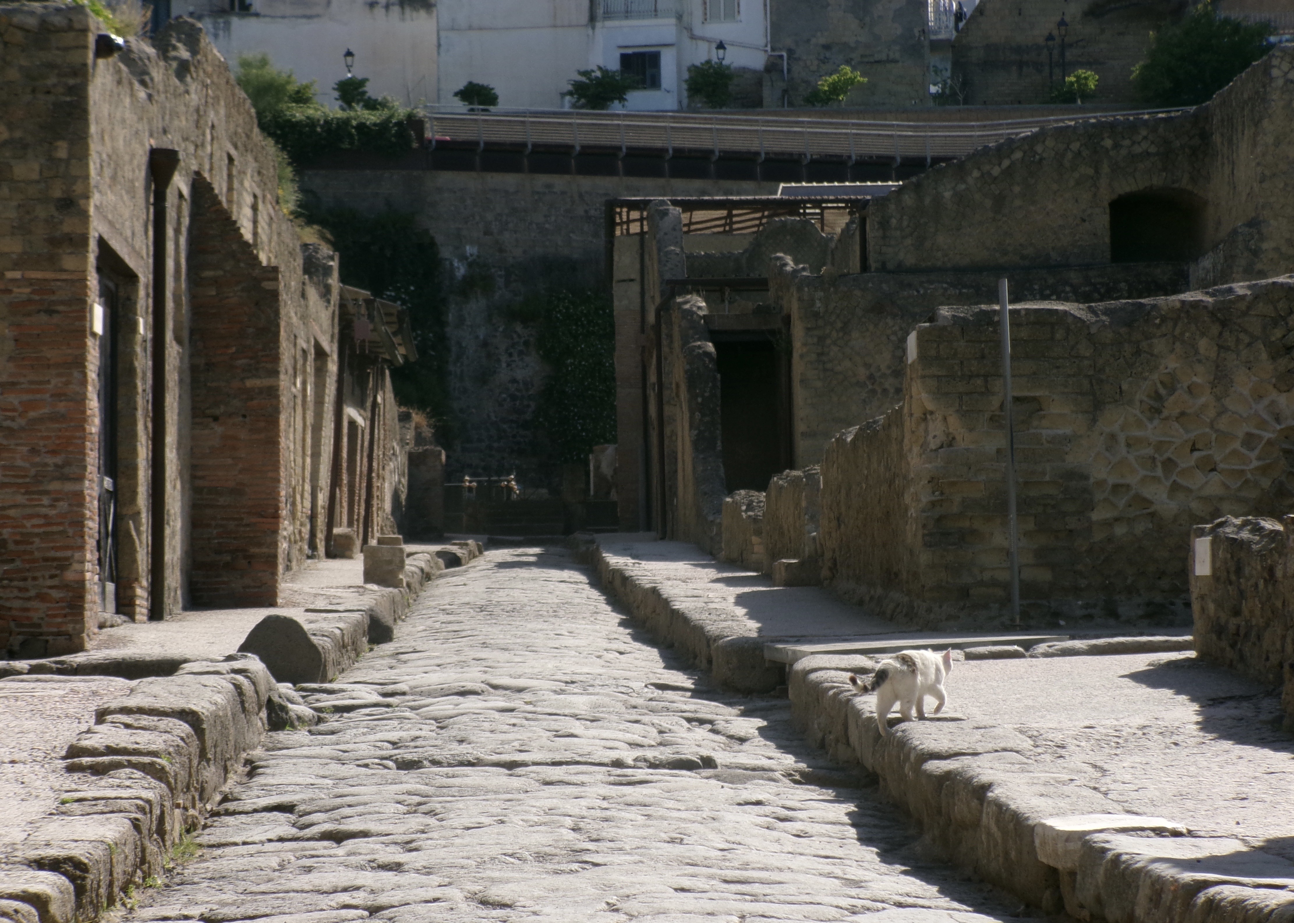 Ancient street in Pompeii